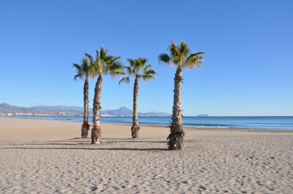 Playa De San Juan Apartment Benimagrell Buitenkant foto